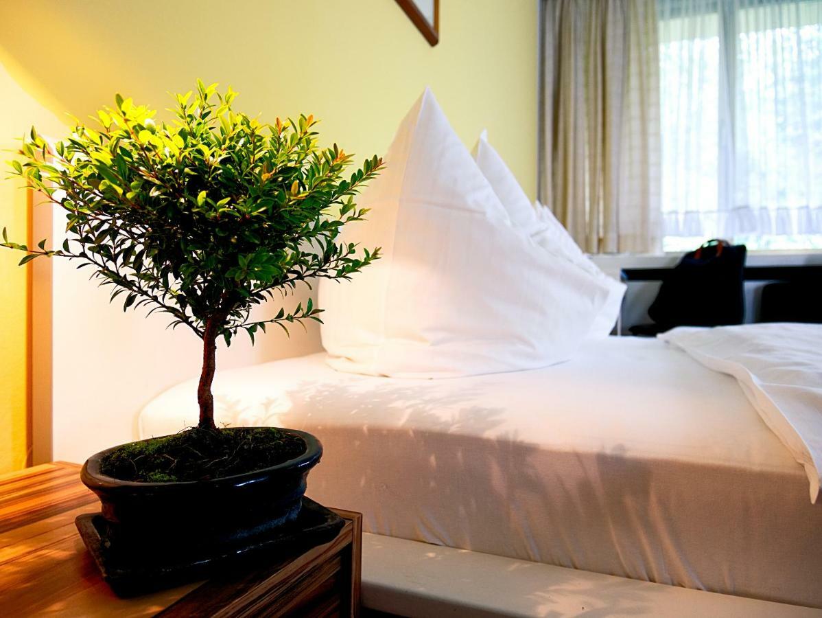 Hotel Albrechtshof Gohrisch Екстер'єр фото