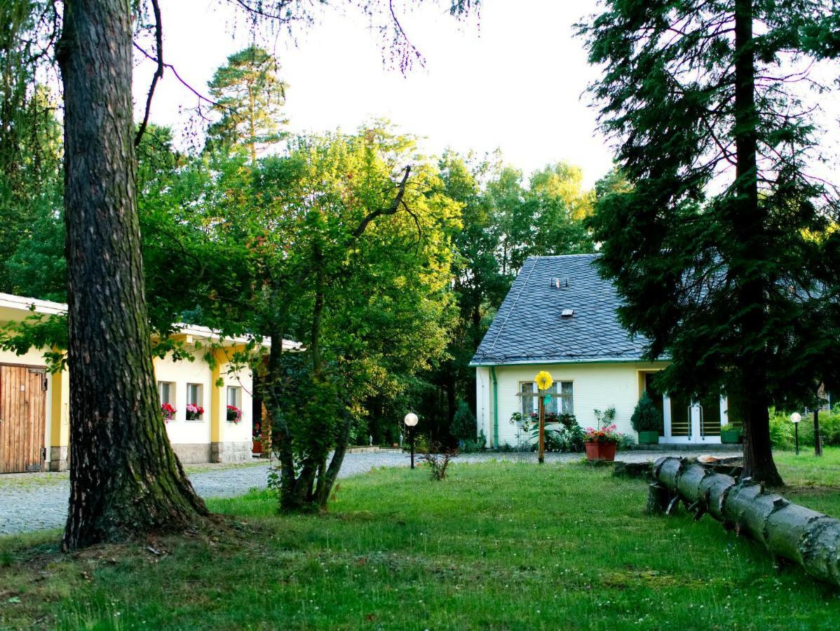 Hotel Albrechtshof Gohrisch Екстер'єр фото